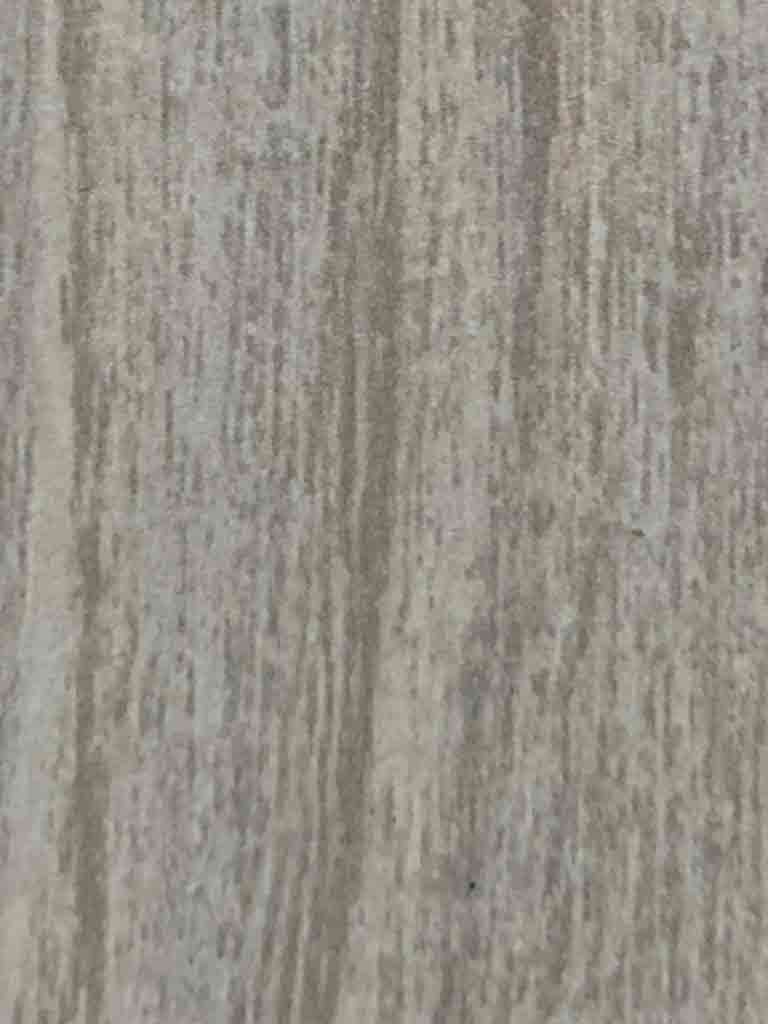 王冠蠟木  G713-MF 王冠蠟木  G713-MF