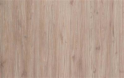 古羅馬橡木防火板 3169-MF 古羅馬橡木防火板 3169-MF